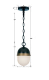 Capsule 6" Pendant - Dimensions Diagram (CAP-8505-MK-TG)